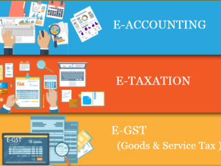 remote-work-global-opportunities-why-accounting-is-a-smart-choice-in-2025-100-job-best-accounting-course-in-delhi-110060-by-sla