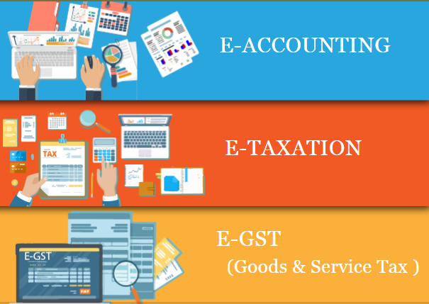 remote-work-global-opportunities-why-accounting-is-a-smart-choice-in-2025-100-job-best-accounting-course-in-delhi-110060-by-sla-big-0
