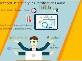 how-an-data-analyst-certification-course-can-future-proof-your-career-in-2025-100-job-in-mnc-excel-by-sla-consultants-india